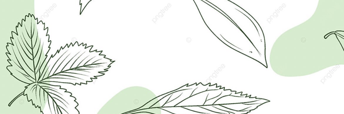 ananzzv's profile banner image