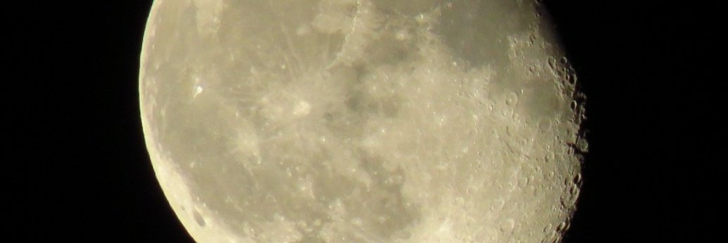 Sebastian Tundis banner