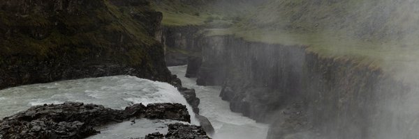 levitijerina Profile Banner