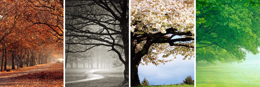 Gryphon Development banner