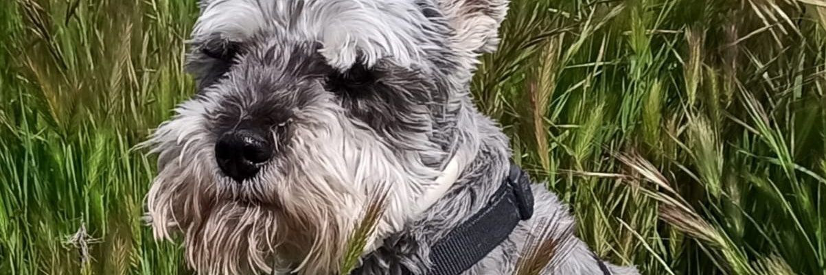 Danirg_7's profile banner image