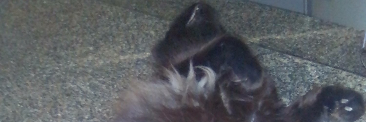 mary10_10's profile banner image