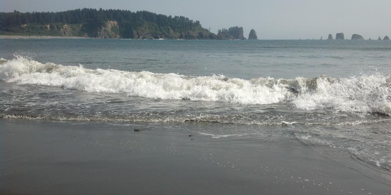 Cheryl Patera banner