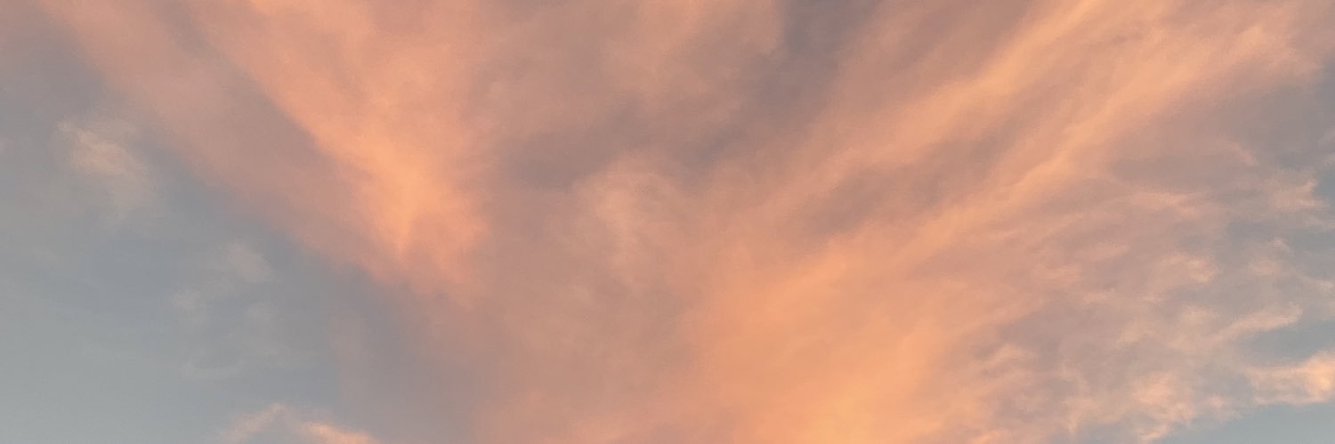 jillianstreh's profile banner image