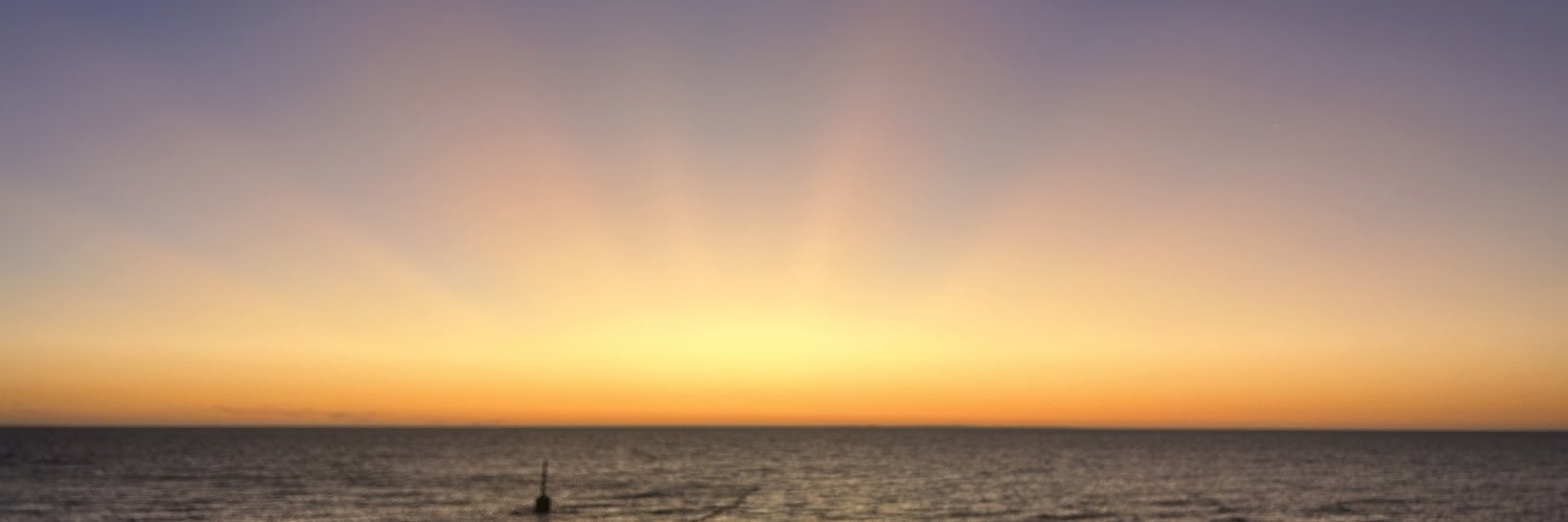 Carly Bucklin banner