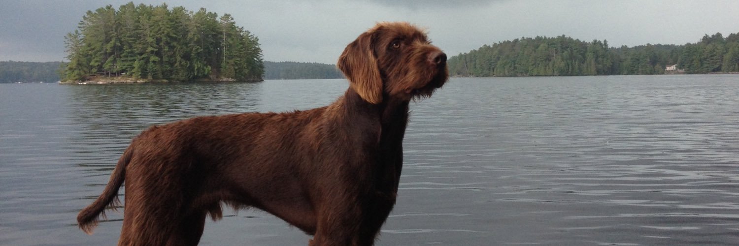 ClayThompson's profile banner image