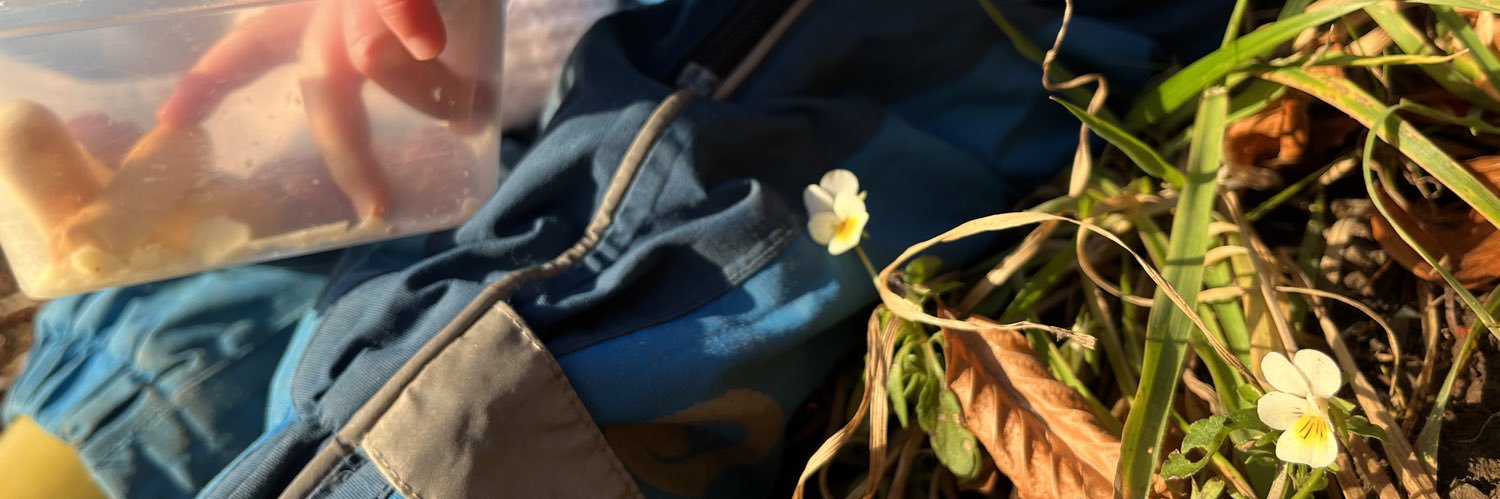 Harry Watkins banner