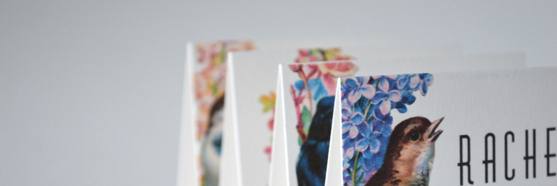 paperROSEdesign's profile banner image