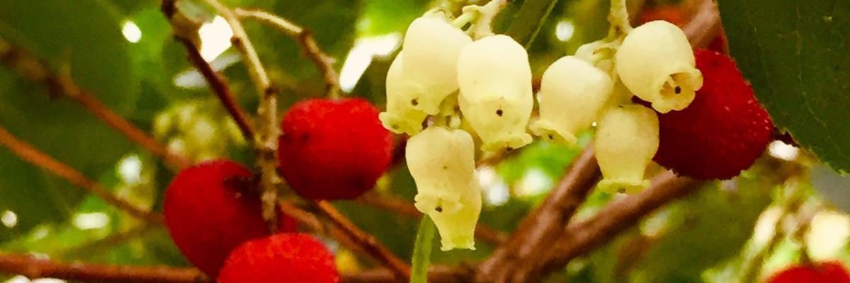 minioyuncakevi's profile banner image