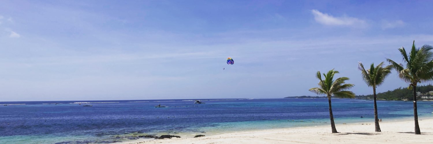 SweStrong 🇸🇪💪 banner