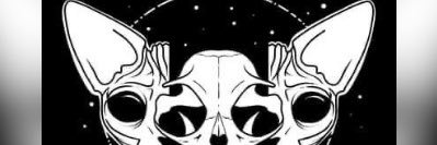 LittykittyKat_'s profile banner image