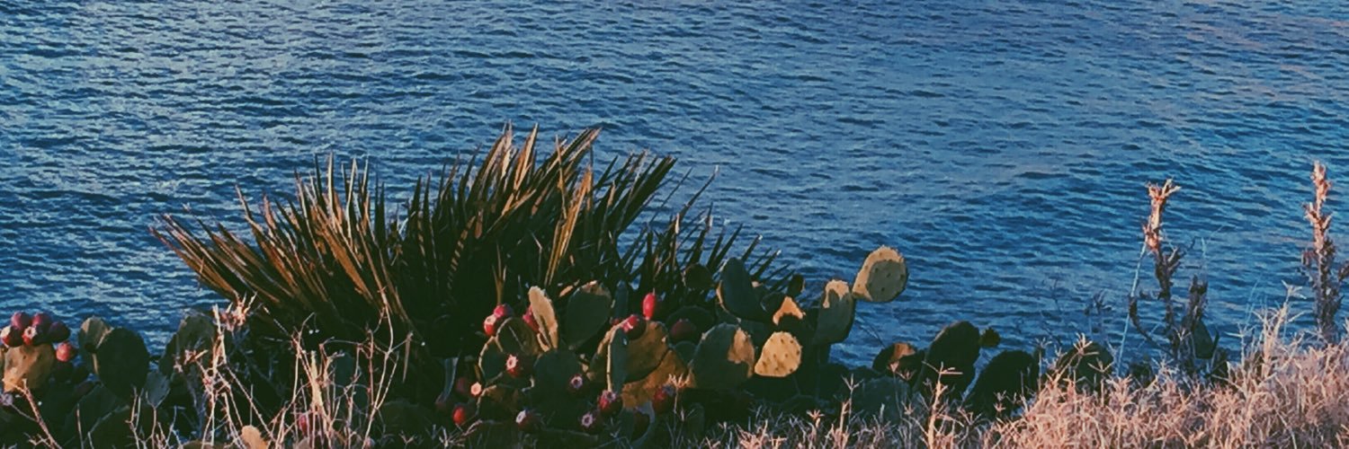 AvidaDollars3's profile banner image