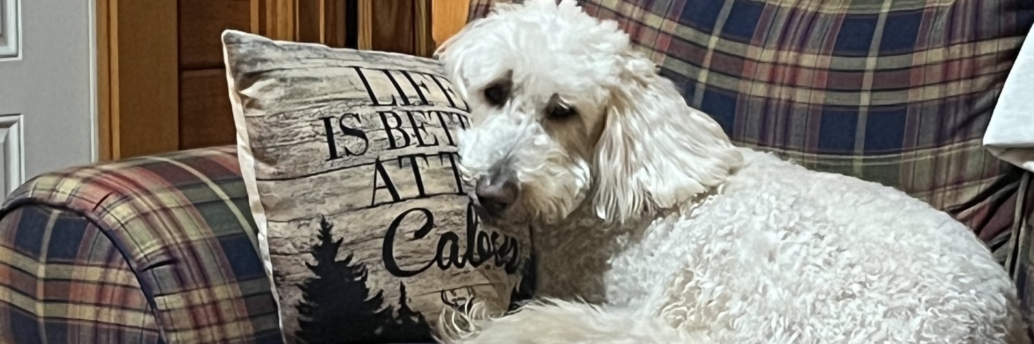 Stacy_Lea's profile banner image
