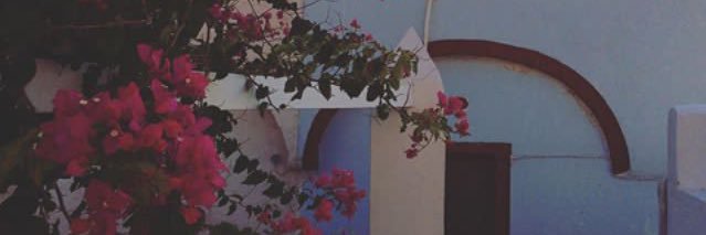 dunkinbagel's profile banner image
