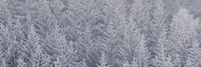 Whatwasthat101's profile banner image