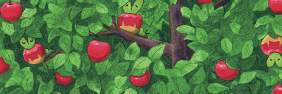annasnle's profile banner image