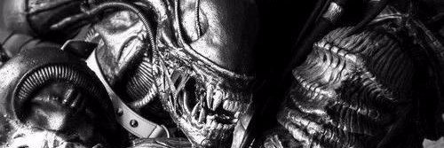 ncuxey's profile banner image