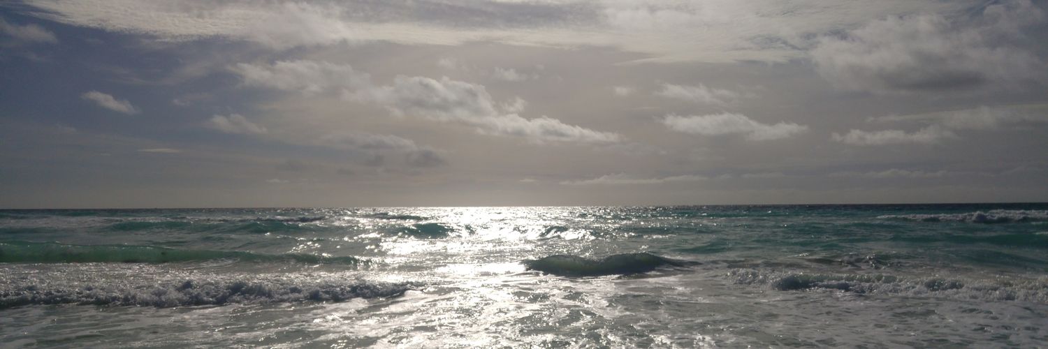 Doraivonn's profile banner image