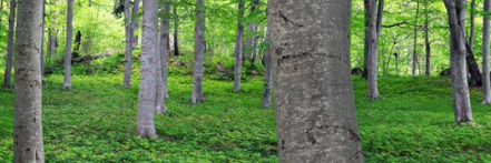PeaceSystems's profile banner image