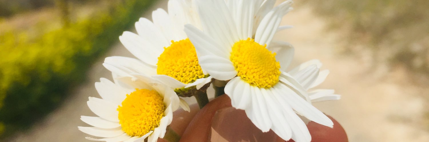 deryadz9's profile banner image