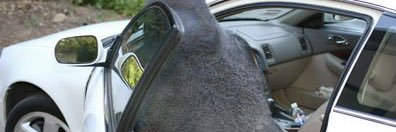 ShowOut_Wells's profile banner image
