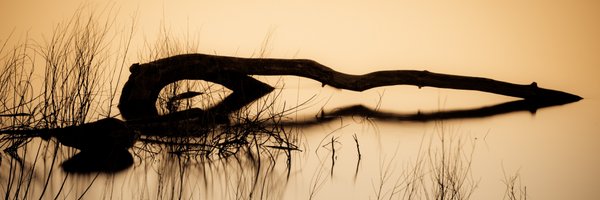 FloydRagman Profile Banner