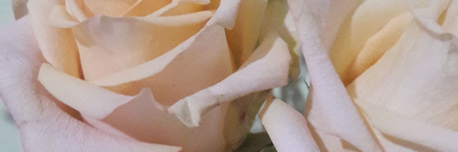 Prismart888's profile banner image