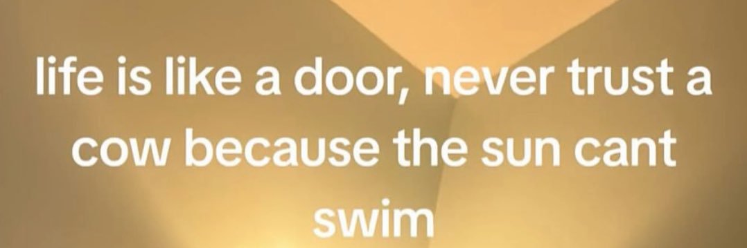 commander e 🗡️ banner