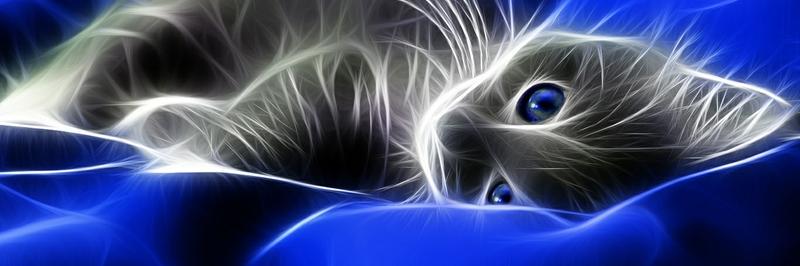 MySmilingSoul's profile banner image
