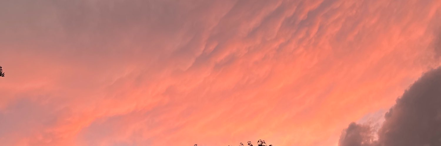 presleybrown1's profile banner image