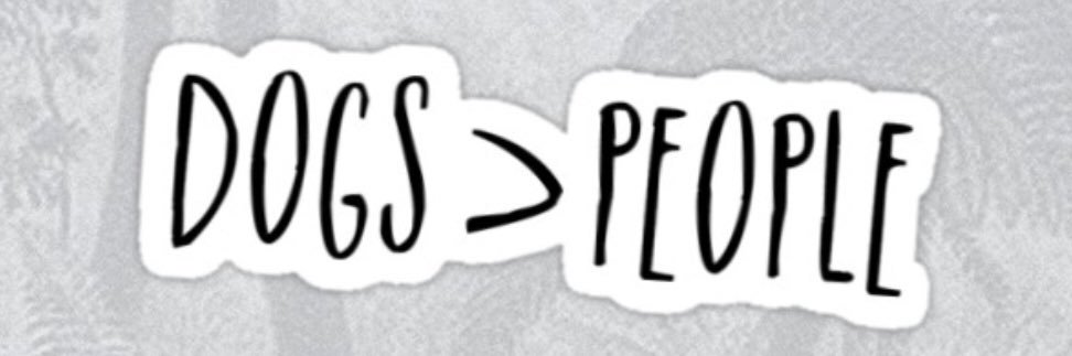 crissyendres's profile banner image