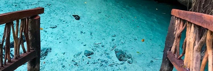 VivoEnPlayaDC's profile banner image