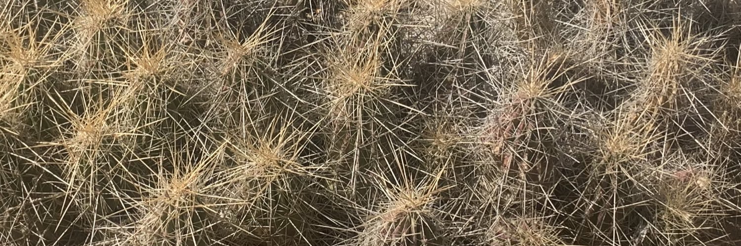 dnlbrsn's profile banner image