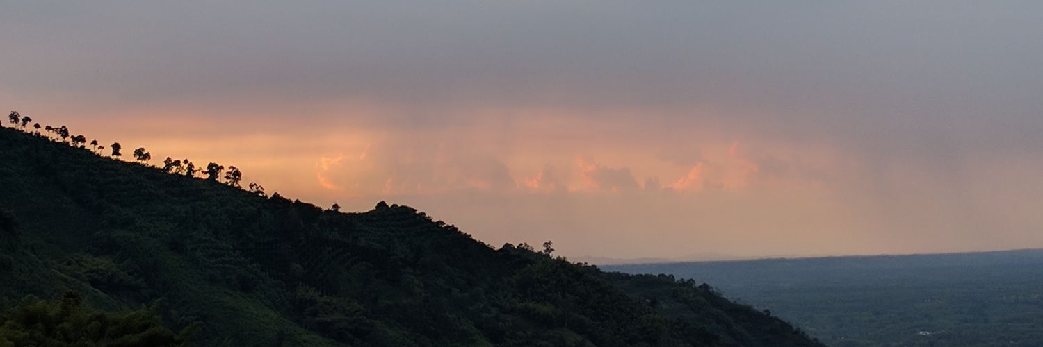 Qandresf's profile banner image