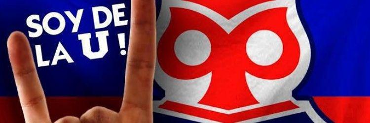 VADIR FAUNES banner