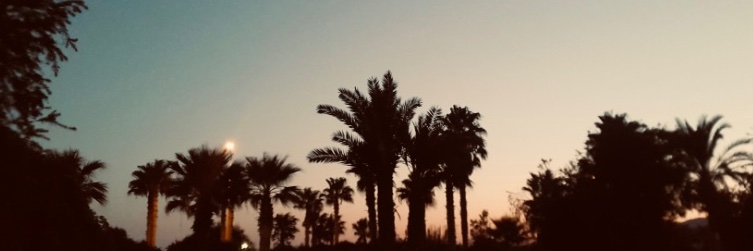 fmina_a's profile banner image