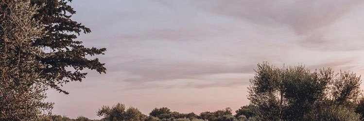 _ayshaaaa's profile banner image