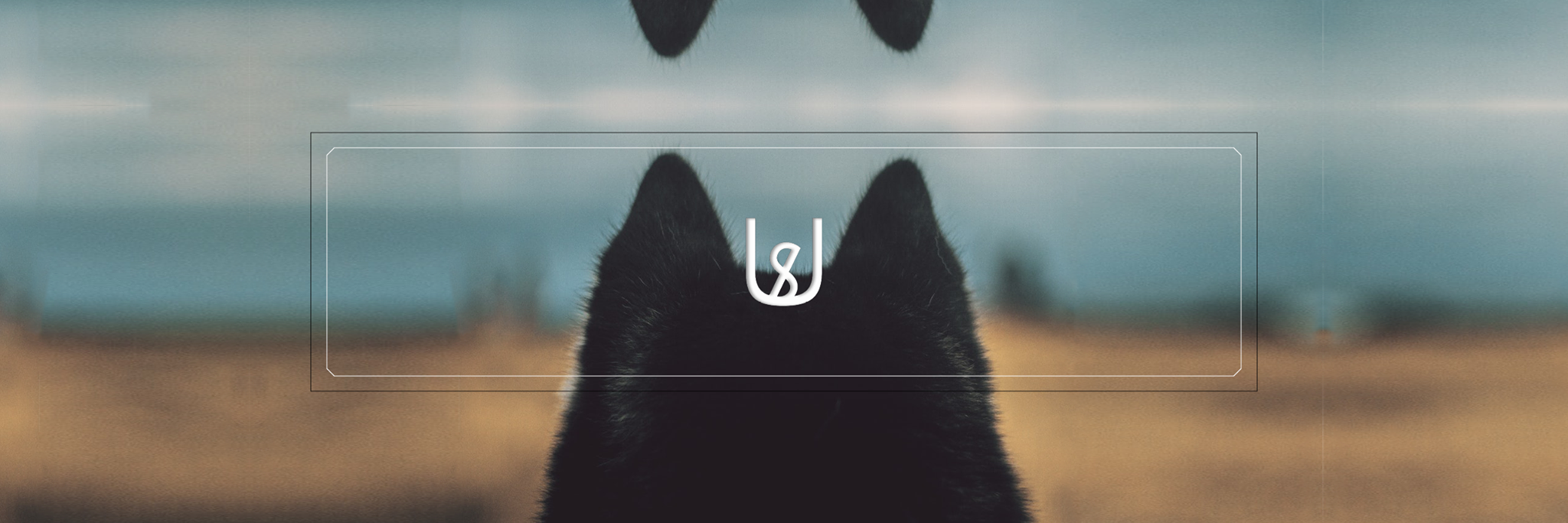 wolfsega 🐺 banner