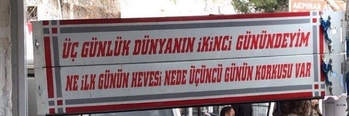 Gulsah Tellioglu banner
