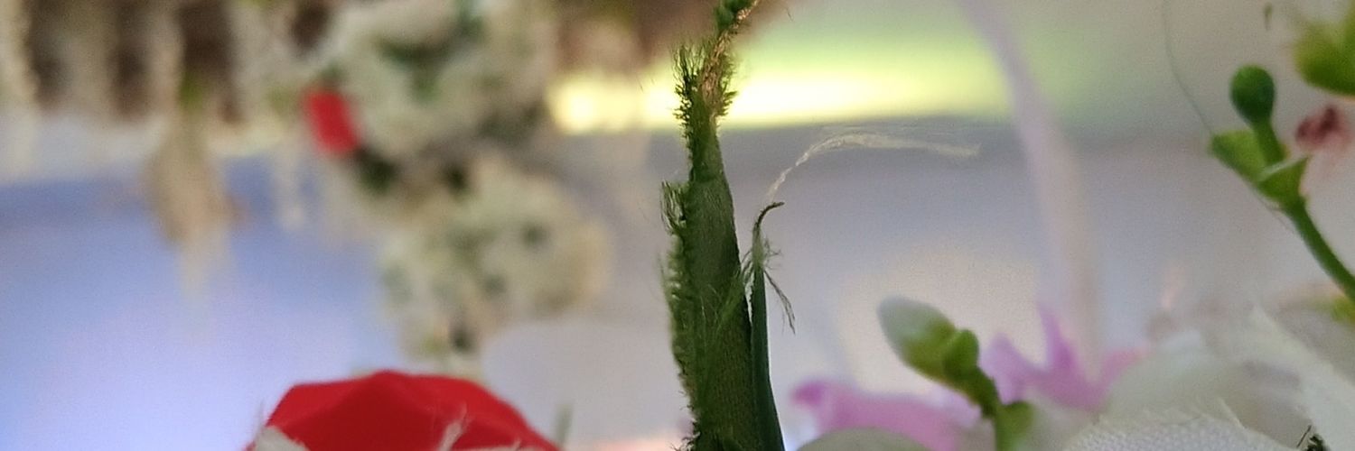Geeveeevents's profile banner image
