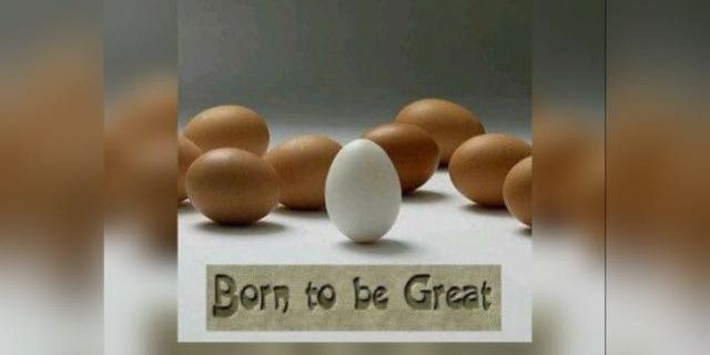 young_iyke's profile banner image