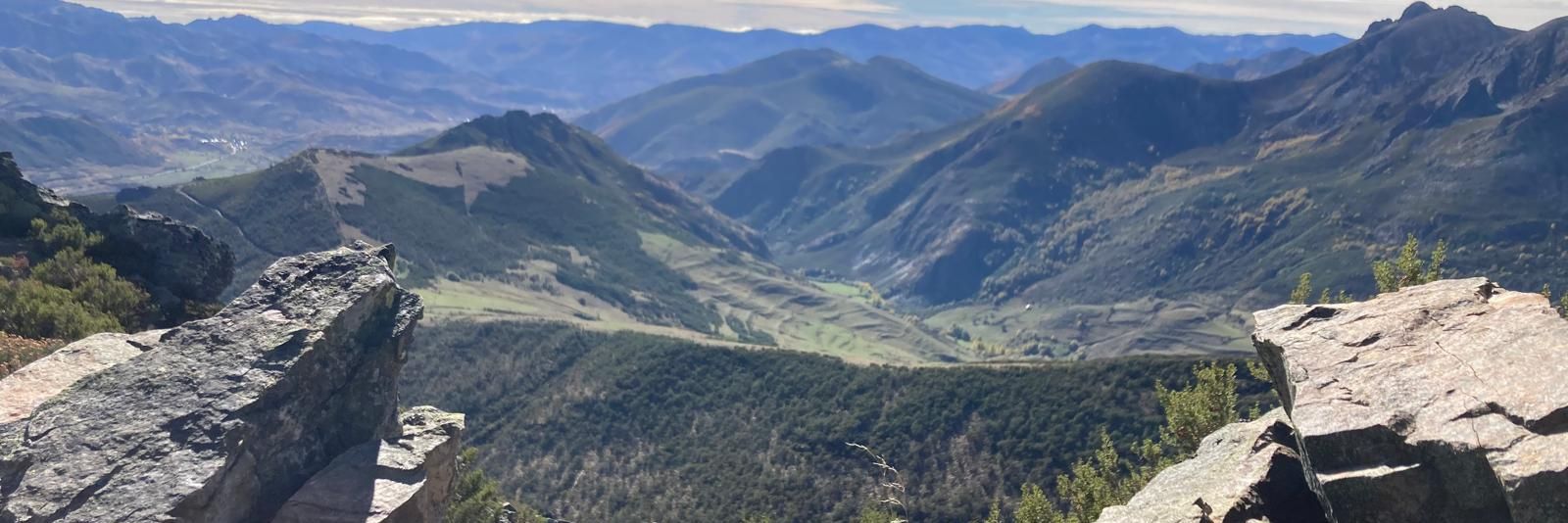 Pidal Montes #Oficialidá banner