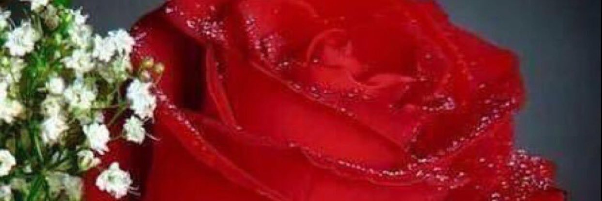 wrd_255's profile banner image