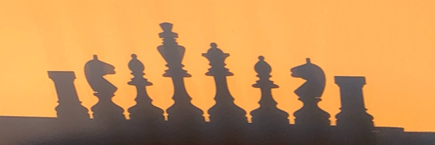Springer_f3's profile banner image