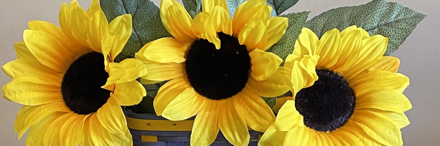 annettelindqui1's profile banner image
