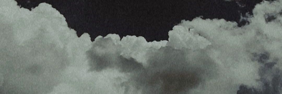 sevdashnr's profile banner image