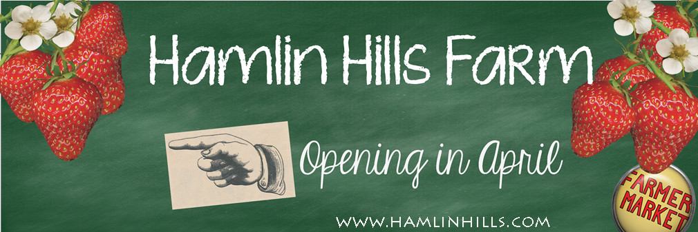 HamlinHills's profile banner image