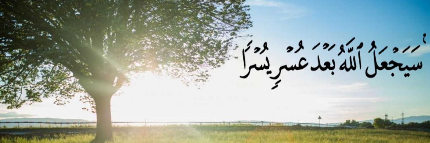 OmarHamdy87's profile banner image
