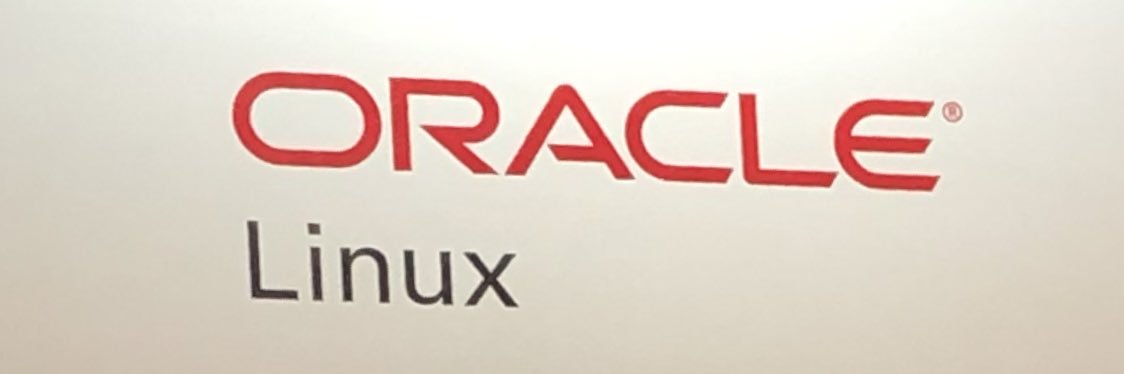 DinaAlexandru's profile banner image