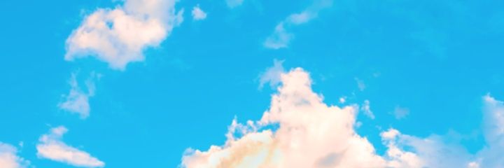 Dinkelmaier's profile banner image